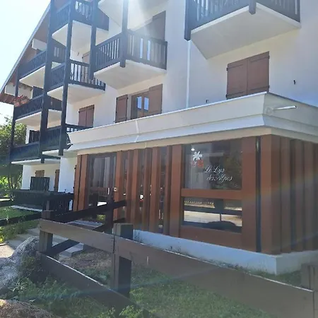 Studio Les 3 Lys Auron Exterior photo