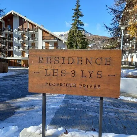 Studio Les 3 Lys Auron Exterior photo
